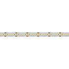 Светодиодная лента RT6-3528-240 24V Day4000 4x (1200 LED) (Arlight, 19.2 Вт/м, IP20) Lednikoff