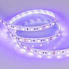Светодиодная лента RT-B60-10mm 12V UV400 (14.4 W/m, IP20, 5060, 5m) (Arlight, Открытый) Lednikoff