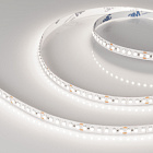 Светодиодная лента RT-A180-8mm 24V Day5000 (14.4 W/m, IP20, 3528, 5m) (Arlight, Открытый) Lednikoff
