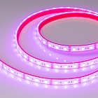 Светодиодная лента герметичная RTW-PFS-B60-13mm 12V RGB (14.4 W/m, IP68, 5060, 5m) (Arlight, -) Lednikoff