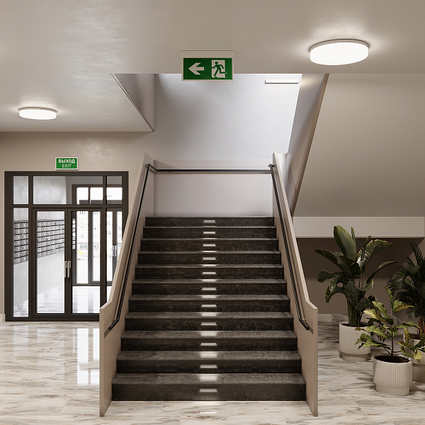 Аварийная панель EMG-DIRECT-3h (Пикт. Выход, IP20) (Arlight, IP20 Пластик, 3 года) Lednikoff