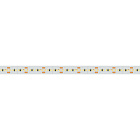 Светодиодная лента MICROLED-5000HP 24V White5500 10mm (2216, 300 LED/m, LUX) (Arlight, 21.6 Вт/м, IP20) Lednikoff