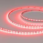 Светодиодная лента RT-H96-5mm 24V RGBW-Day-4-in-1 (10 W/m, IP20, 5m) (Arlight, узкая) Lednikoff