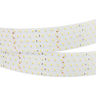 Светодиодная лента RT-A350-58mm 24V White6000 (36 W/m, IP20, 2835, 2.5m) (Arlight, 36 Вт/м, IP20) Lednikoff