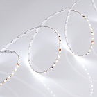 Светодиодная лента MICROLED-M240-4.5mm 24V White-CDW (9.6 W/m, IP20, 2216, 5m) (Arlight, узкая) Lednikoff