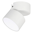 Светильник SP-RONDO-FLAP-R110-25W Day4000 (WH, 110 deg) (Arlight, IP40 Металл, 3 года) Lednikoff