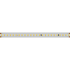Светодиодная лента IC 2-50000 48V Cool 8K 12mm (2835, 144 LED/m, LUX) (Arlight, 5.8 Вт/м, IP20) Lednikoff