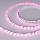 Светодиодная лента RT-A60-8mm 12V Pink (4.8 W/m, IP20, 2835, 5m) (Arlight, 4.8 Вт/м, IP20) Lednikoff