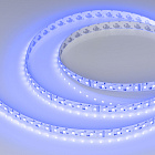 Светодиодная лента RT-GM288-12mm 24V RGBW-MIX (19.2 W/m, IP20, 3838/2216, 5m) (Arlight, Открытый) Lednikoff