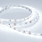 Светодиодная лента RT 2-5000 12V Cool 8K (2835, 300 LED, PRO) (Arlight, 7.2 Вт/м, IP20) Lednikoff