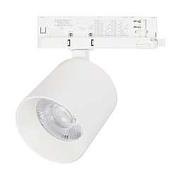 Светильник LGD-DYKE-4TR-R100-36W Day4000 (WH, 50 deg, 230V, DALI) (Arlight, IP20 Металл, 5 лет)