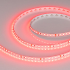 Светодиодная лента RT-A120-8mm 24V Red (9.6 W/m, IP20, 2835, 5m) (Arlight, 9.6 Вт/м, IP20) Lednikoff