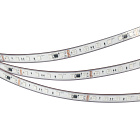 Светодиодная лента герметичная DMX-PS-B60-12mm 24V RGB-PX6 (14 W/m, IP67, 5060, 5m) (Arlight, -) Lednikoff