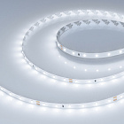 Светодиодная лента RT-A60-8mm 24V Cool 8K (4.8 W/m, IP20, 2835, 5m) (Arlight, Открытый) Lednikoff