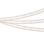 Светодиодная лента герметичная RTW-PSW-A304-12mm 24V White6000 (25 W/m, IP67, 2835, 5m) (Arlight, 5 лет) Lednikoff