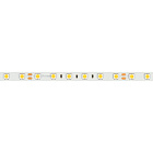 Светодиодная лента RT-B60-10mm 24V Cool 8K (14.4 W/m, IP20, 5060, 5m) (Arlight, 14.4 Вт/м, IP20) Lednikoff