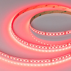 Светодиодная лента RT-H120-10mm 24V RGBW-Day-4-in-1 (25 W/m, IP20, 4040, 5m) (Arlight, Открытый) Lednikoff