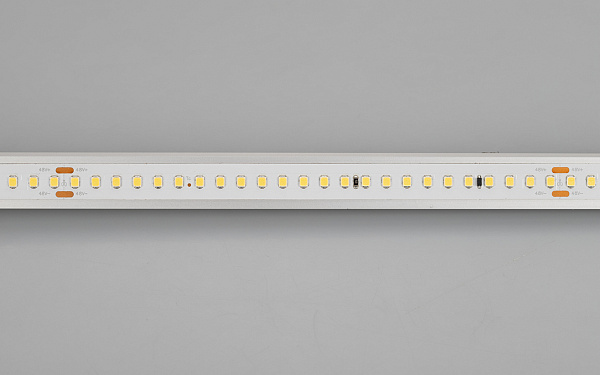 Светодиодная лента IC 2-50000 48V White6000 12mm (2835, 144 LED/m, LUX) (Arlight, 5.8 Вт/м, IP20) Lednikoff