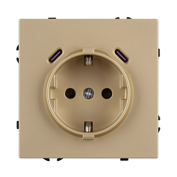 Механизм розетки с USB зарядкой SCT-NOBE-MUCC-SFPL-GD (230V, 16A) (Arlight, -) Lednikoff
