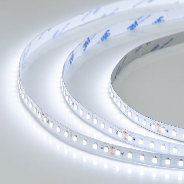Светодиодная лента RTW-5000SC 24V Cool SP7500-Fish 10mm (2835, 112 LED/m, SHOP) (Arlight, Открытый) Lednikoff