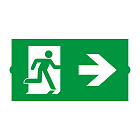 Пиктограмма EMGP-DIRECT-RIGHT (Вправо) (Arlight, Пластик) Lednikoff