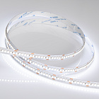Светодиодная лента RT6-3528-240 24V White6000 4x (1200 LED) (Arlight, 19.2 Вт/м, IP20) Lednikoff