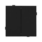Механизм выключателя двухклавишный проходной SWT-TENDO-MKP2-SFPL-BK (230V, 10A) (Arlight, Матовый черный) Lednikoff