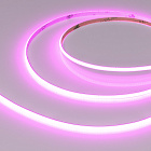 Светодиодная лента COB-X480-4mm 24V Magenta (4 W/m, IP20, 5m) (Arlight, -) Lednikoff