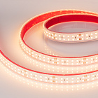 Светодиодная лента RTW 2-5000P 24V Warm2700 2x2 (3528, 1200 LED, LUX) (Arlight, 19.2 Вт/м, IP66) Lednikoff