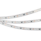 Светодиодная лента герметичная SPI-PS-B60-12mm 12V RGB-PX3-BPT (12 W/m, IP67, 5060, 5m) (Arlight, бегущий огонь) Lednikoff