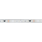 Светодиодная лента герметичная SPI-PS-B60-12mm 24V RGB-PX6-BPT (12 W/m, IP67, 5060, 5m) (Arlight, бегущий огонь) Lednikoff