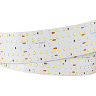Светодиодная лента S2-2500 24V Warm 2700K 52mm (2835, 420 LED/m, LUX) (Arlight, 30 Вт/м, IP20) Lednikoff