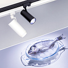 Светильник LGD-GERA-4TR-R90-30W Cool SP7500-Fish (WH, 24 deg, 230V) (Arlight, IP20 Металл, 3 года) Lednikoff