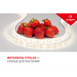 Буклет FITOLUX. 2022 (Arlight, -)