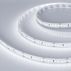 Светодиодная лента RT-A168-10mm 24V White6000 (17 W/m, IP20, 2835, 5m) (Arlight, Открытый) Lednikoff