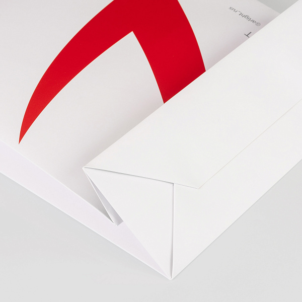 Пакет бумажный с логотипом Arlight (Arlight, -)