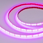 Светодиодная лента герметичная COB-SE-X840-10mm 24V RGB (16 W/m, IP65, CSP, 5m) (Arlight, -) Lednikoff