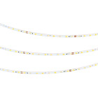 Светодиодная лента RT-A80-5mm 24V Day4000 (5 W/m, IP20, 5m) (Arlight, Открытый) Lednikoff