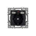 Механизм розетки с USB зарядкой SCT-MUAA-PL-BK (250V, 16A) (Arlight, -) Lednikoff