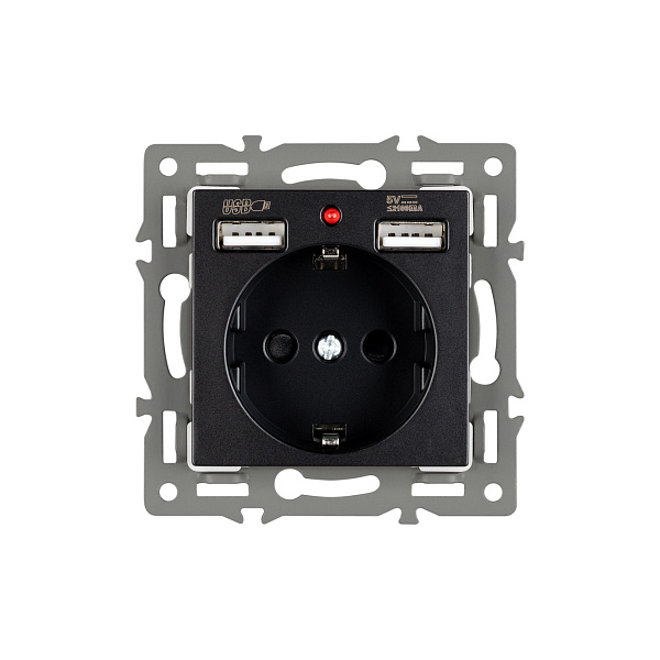 Механизм розетки с USB зарядкой SCT-MUAA-PL-BK (250V, 16A) (Arlight, -) Lednikoff