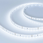 Светодиодная лента RT-A120-8mm 24V Cool 8K (9.6 W/m, IP20, 2835, 5m) (Arlight, Открытый) Lednikoff