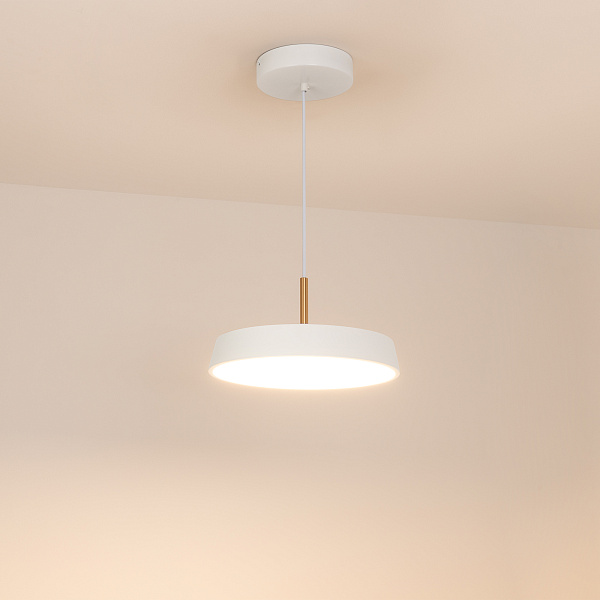 Светильник SP-ELEGANT-R300-17W Warm3000 (WH, 120 deg, 230V) (Arlight, IP20 Металл, 3 года) Lednikoff