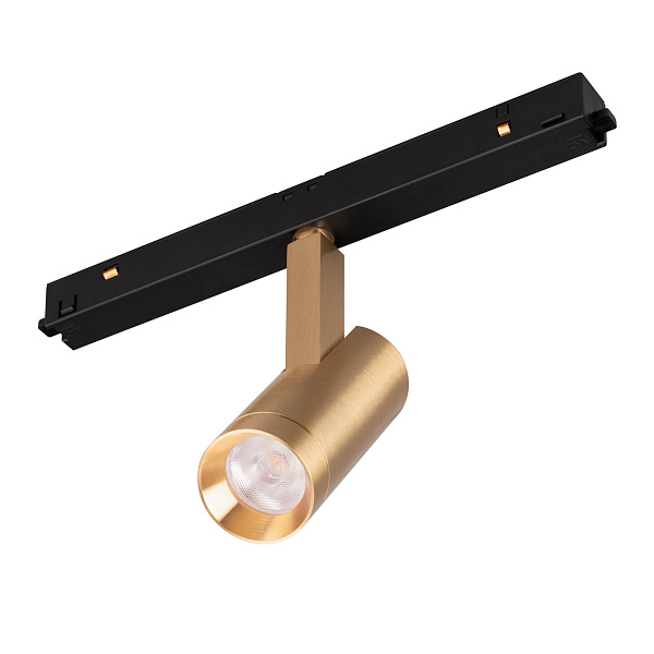 Светильник MAG-ORIENT-SPOT-R35-6W Warm3000 (GD, 24 deg, 48V) (Arlight, IP20 Металл, 5 лет) Lednikoff