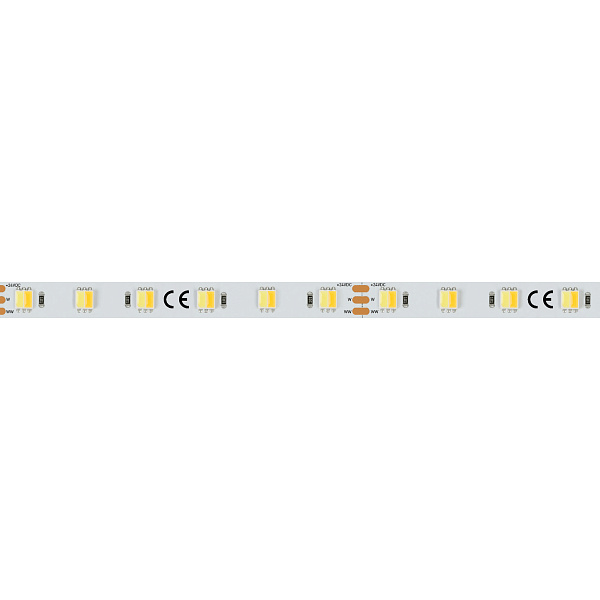 Светодиодная лента RT 6-5000 24V White-MIX-One 2x (5060, 60 LED/m, LUX) (Arlight, Изменяемая ЦТ) Lednikoff
