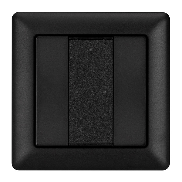 INTELLIGENT ARLIGHT Панель DALI-223-2K-D2-IN-BLACK (BUS, Free purpose) (IARL, -) Lednikoff