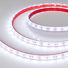 Светодиодная лента RTW 2-5000PS 12V Cool 8K 2x (5060, 300 LED, LUX) (Arlight, 14.4 Вт/м, IP67) Lednikoff