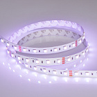Светодиодная лента RT 2-5000 24V RGBW-MIX 12mm (5060-One, 60 LED/m, LUX) (Arlight, 20 Вт/м, IP20) Lednikoff