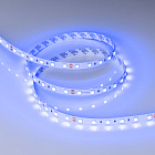 Светодиодная лента RT-B60-10mm 24V Blue (14.4 W/m, IP20, 5m) (Arlight, Открытый) Lednikoff