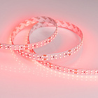 Светодиодная лента RT 2-5000 24V Red 2x2 (3528, 1200 LED, LUX) (Arlight, 19.2 Вт/м, IP20) Lednikoff