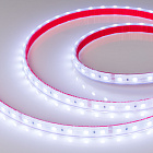 Светодиодная лента герметичная RTW-PS-B60-12mm 24V RGB (14.4 W/m, IP67, 5060, 5m) (Arlight, 14.4 Вт/м, IP67) Lednikoff